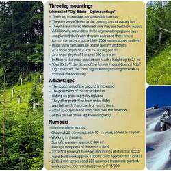 Interesting snow slide barriers ... on the way to Gimmelwald, Switzerland.