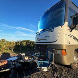 Indy wht hing from the motorhome window as Les cooks a stake.