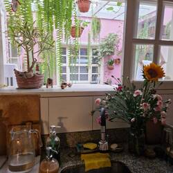 ...und da ist sie...