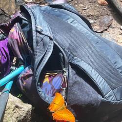 So many butterflies on this hike