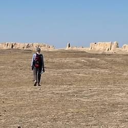 Another one bites the dust