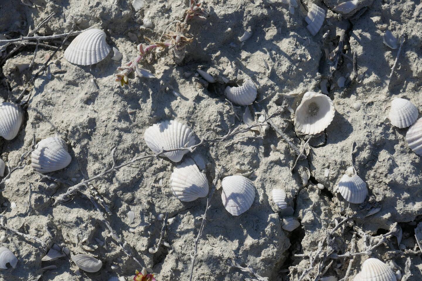 Drove for hours over what was seabed in the 1970s