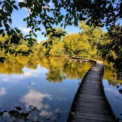 Looks like Sweden somehow