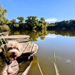 Let me go back to proper Land!