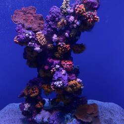 Maui Ocean Center.