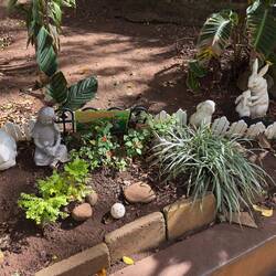 The tribute to Portugese immigrants at Kepaniwai Park.