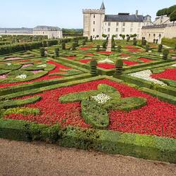 Pic for the gardeners