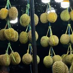 Durian
