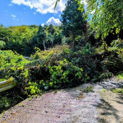 Strasse ist verschüttet...