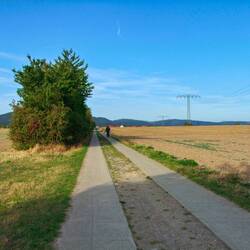 Auf dem Weg nach Darlingerode