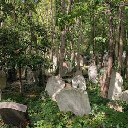 Viele Gräber dort sind sich selbst überlassen