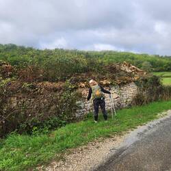 Picking the berries on the way