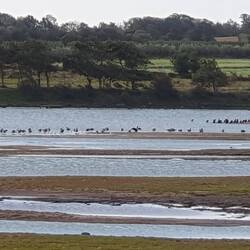 Naturreservat