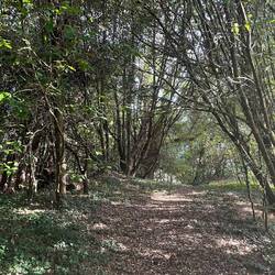 The path down to the village.