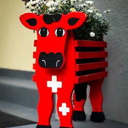From our stroll around the village — Mürren, Switzerland.