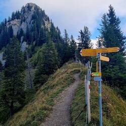 Auf dem Storeggpass...