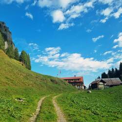 Alp Zingel