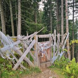 Auf dem Hexenweg runter ...