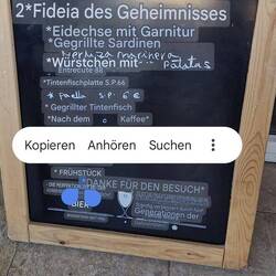 Eidechse mit Garnitur... 🤣 Haben wir lieber nicht bestellt!