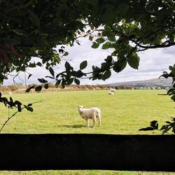 Auf dem Weg nach Lynton
