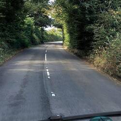 durch die Baumtunnel