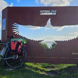 Spannweite Seeadler: 220-250cm!