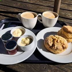 Lecker und Kalorienarm (gelogen)