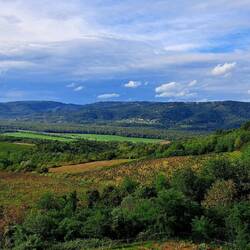 View from Hotel Roxanich, Motovun
