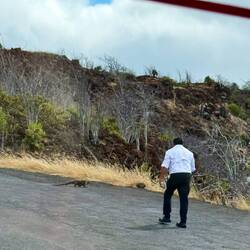 Darum wird er ganz freundlich aufgefordert seinen Mittagsschlaf woanders fortzusetzen 😄