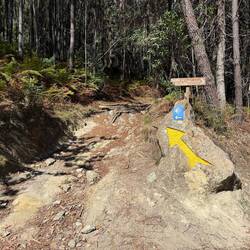 Starting up the mountain