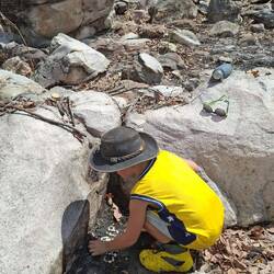 R.I.P. Charlotte🐣