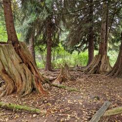 ....Florence Petersen Park....