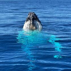 Eyeballing us. Who is watching who?