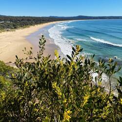 Pambula Beach from the headland