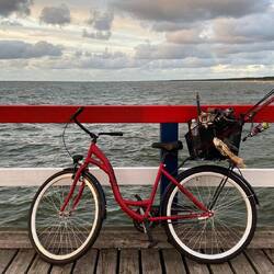 Gehen auch nicht angeln - ist aber Volkssport hier