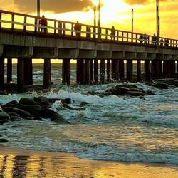 Auch der Möve gefällt die Stimmung