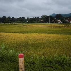 auf der Fahrt nach Pu Luong..