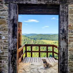 Hello Poser