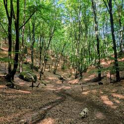 It's steeper than it looks