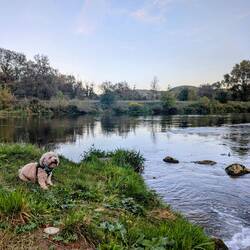 This picture is Gold