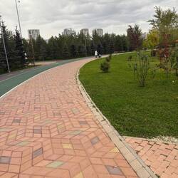 Hey! A solitary lady pushing a stroller