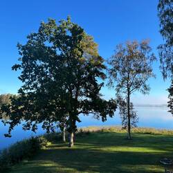 Ein absoluter Traum ☀️