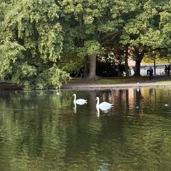 Saint Stephen's Green