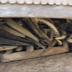 DIE BÜFFELHÖRNER ZEIGEN WOHLSTAND