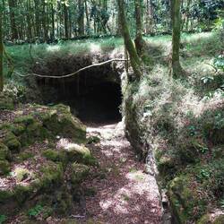 La'auolola lava tube cave