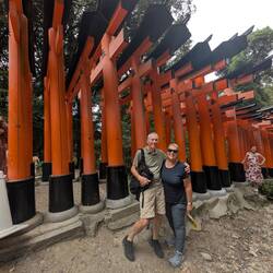 There are 50 O-torii Gates at the Shrine