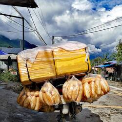 Everything comes here on motorbikes!