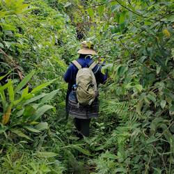 Madame Mu loves narrow paths!
