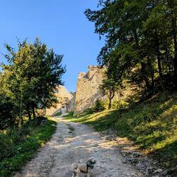 Welcome to Lietava Castle