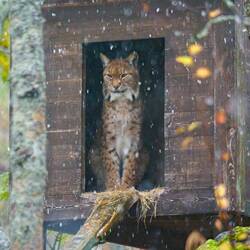 Ja Miez, ich finds Wetter auch mies.